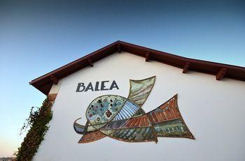 Hotel Balea